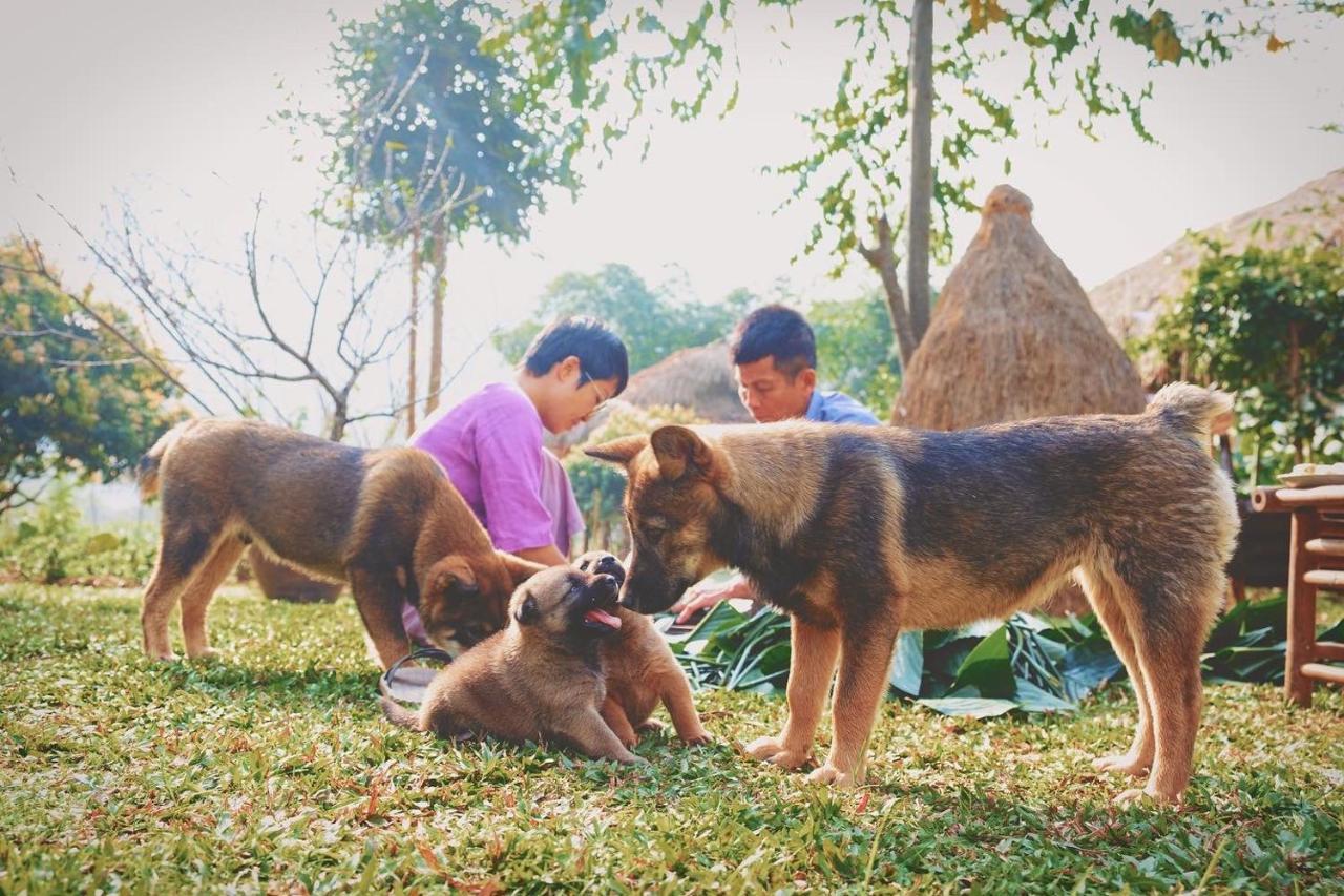 Mai Chau Valley Retreat Экстерьер фото